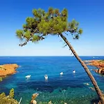 La Provencale - Maeva 4* Mandelieu