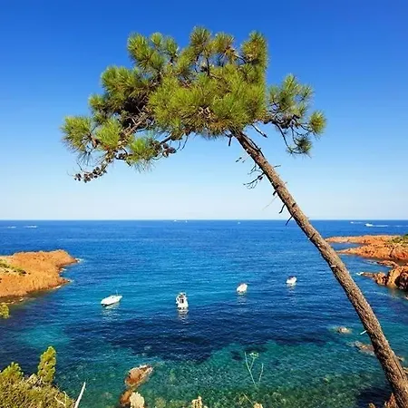 La Provencale - Maeva 4* Mandelieu