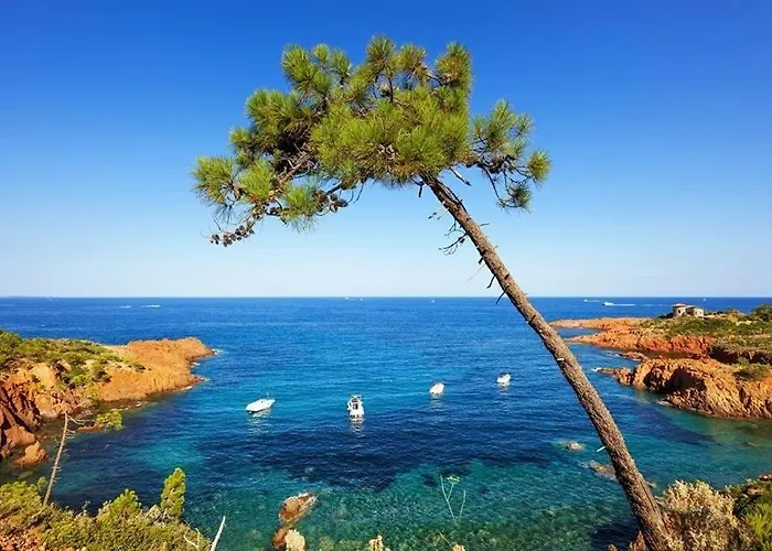 La Provencale - Maeva 4* Mandelieu